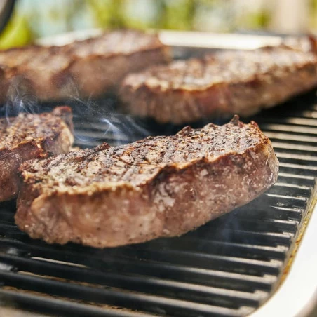 Barbecue Electrique Lumin Compact Sur Stand - Black - WEBER 10 Barbecue Electrique Lumin Compact Sur Stand - Black - WEBER – Image 10