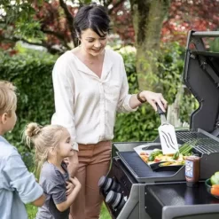 Barbecue Gaz Rogue 365 R 2 Brûleurs - NAPOLEON -Les gens du barbecue. barbecue gaz rogue 365 serie r 2 bruleurs 2
