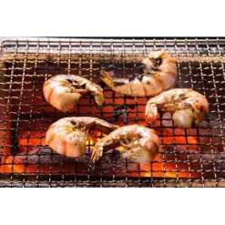 Barbecue Japonais Konro Stove 54 X 23 X 20 Cm BQ8WF 11 Barbecue Japonais Konro Stove 54 X 23 X 20 Cm BQ8WF -Les gens du barbecue. barbecue japonais konro stove 54 x 23 x 20 cm bq8wf 4